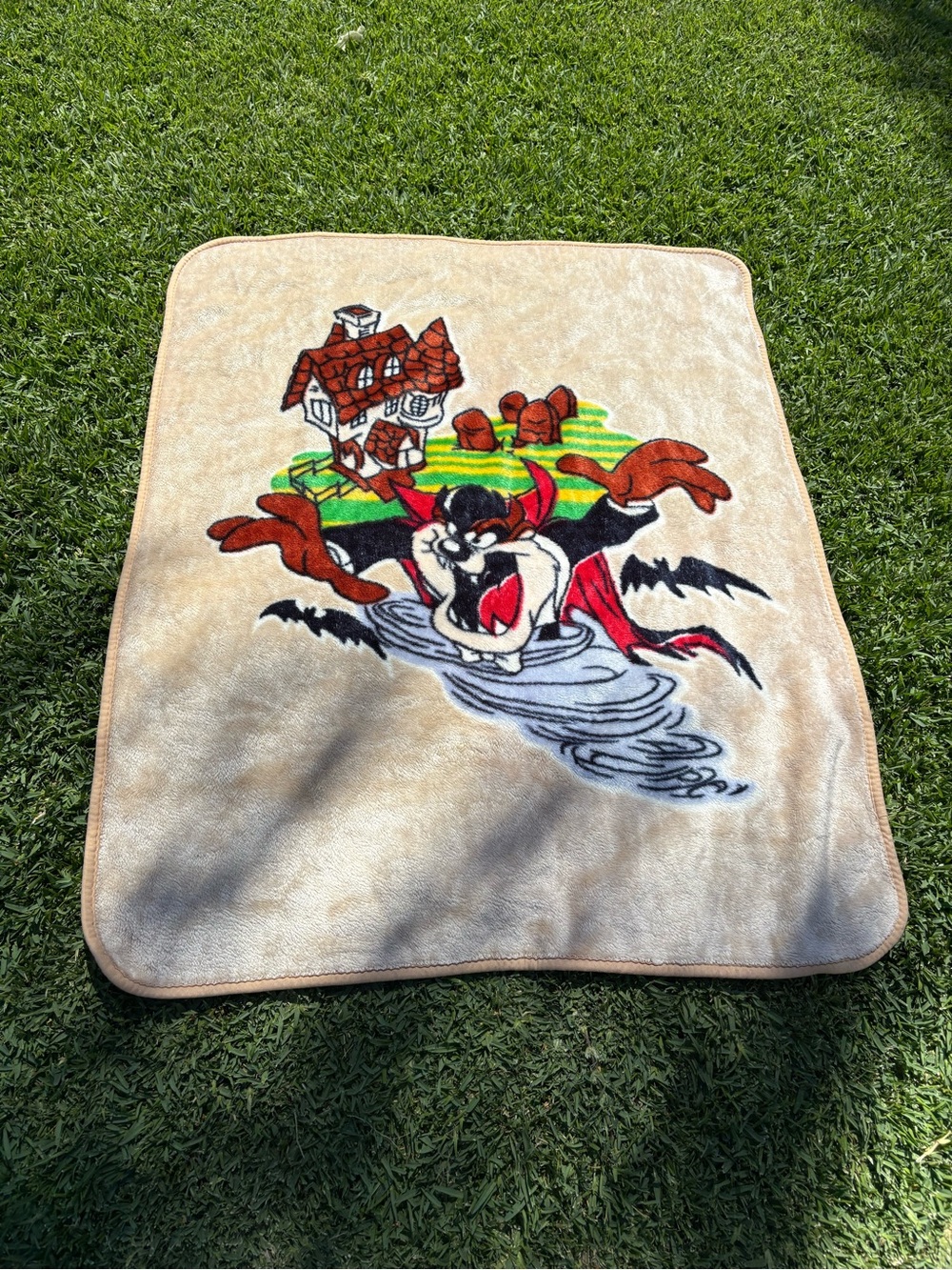 Vintage Warner Bros. Looney Tunes Tasmanian Devil Halloween throw blanket 51x40